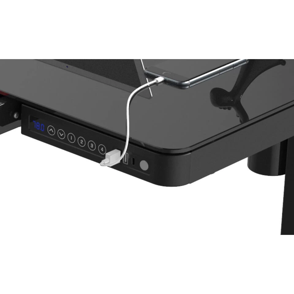 Elektrisch Verstelbaar Bureau / Thuiswerkplek - 120x60 Cm - Whitewash Eiken - Afbeelding 4