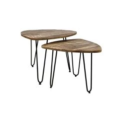 HSM Collection Salontafel Dexter (2 Stuks) - Naturel/zwart